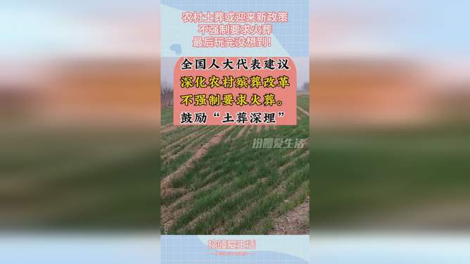 土葬最新政策的探讨与实施，改革与实践之路