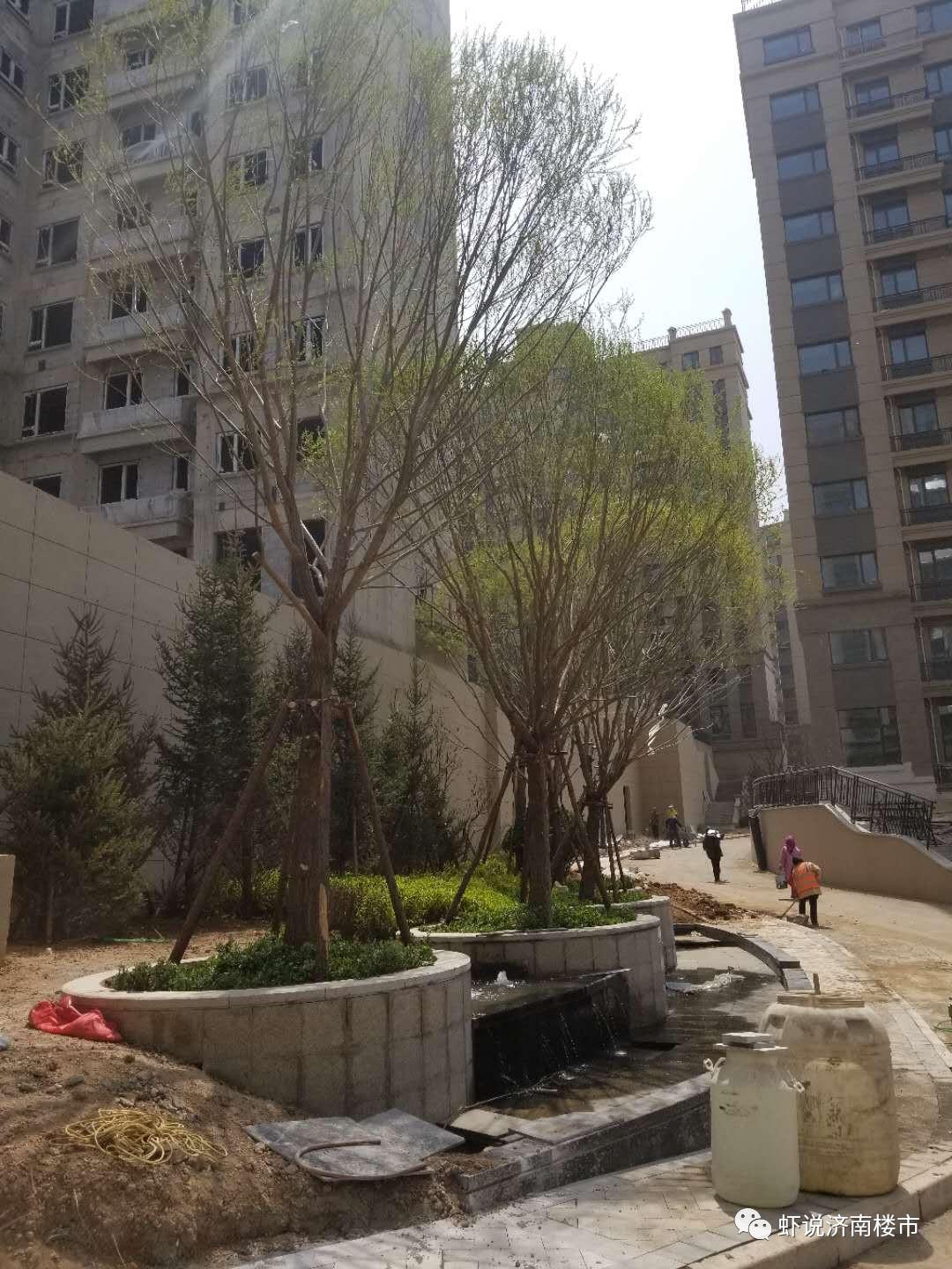 恒大龙奥御苑最新价格动态与市场趋势分析