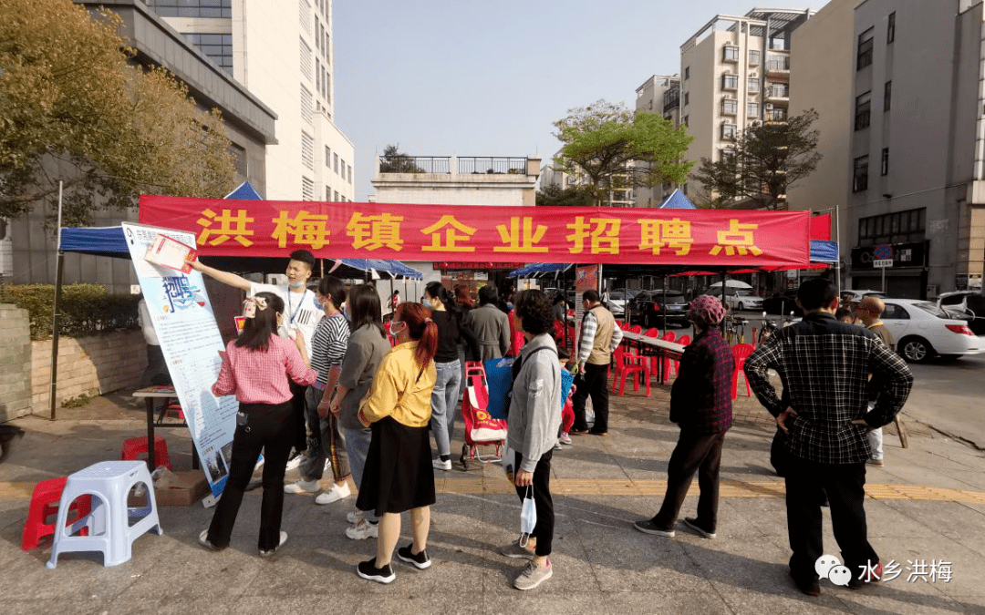 洪濑最新招聘论坛，人才与机遇的碰撞之地