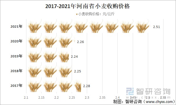 山东今日小麦最新价格动态解析