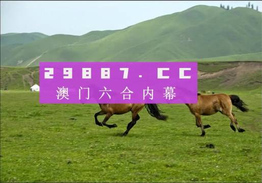 澳门跑狗图,专业分析说明_战斗版46.928