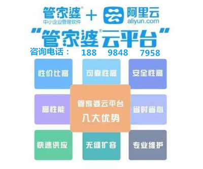 7777788888管家婆凤凰,安全性方案设计_限量版65.104