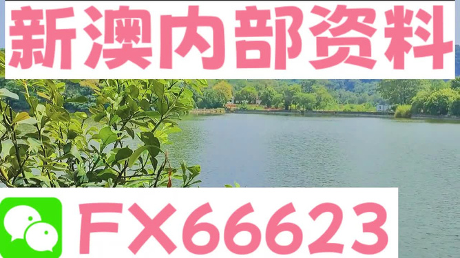 新澳免费资料大全精准版,可靠解析评估_入门版91.466