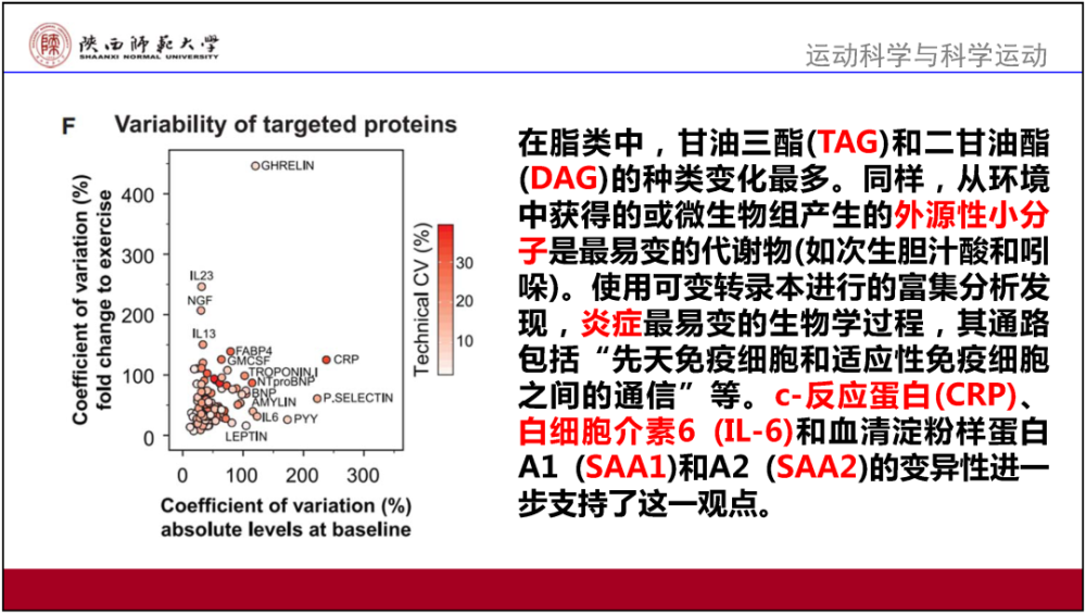 新澳门六开奖结果资料查询,实效解读性策略_N版67.333