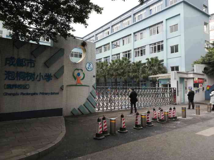 泡桐树小学资源下载，探索与体验之旅