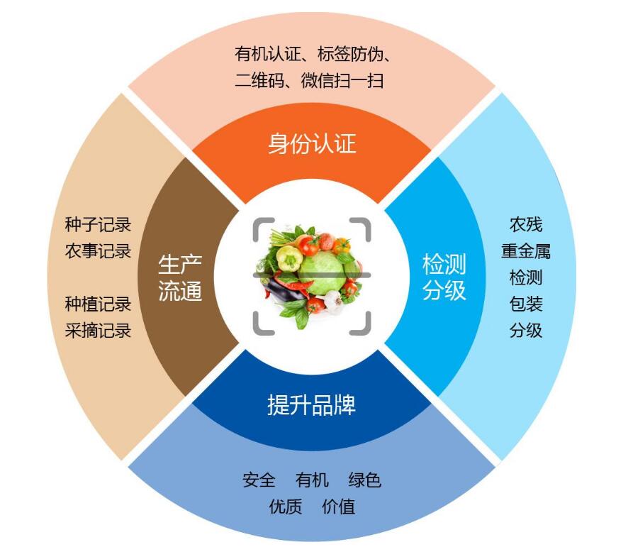 新澳门内部一码精准公开网站,系统化策略探讨_复古版48.367