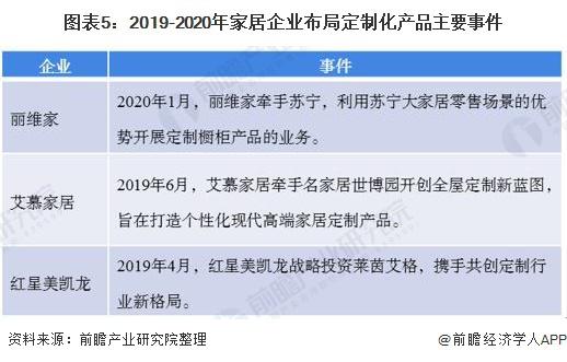 2024新澳正版免费资料的特点,定制化执行方案分析_顶级款32.63