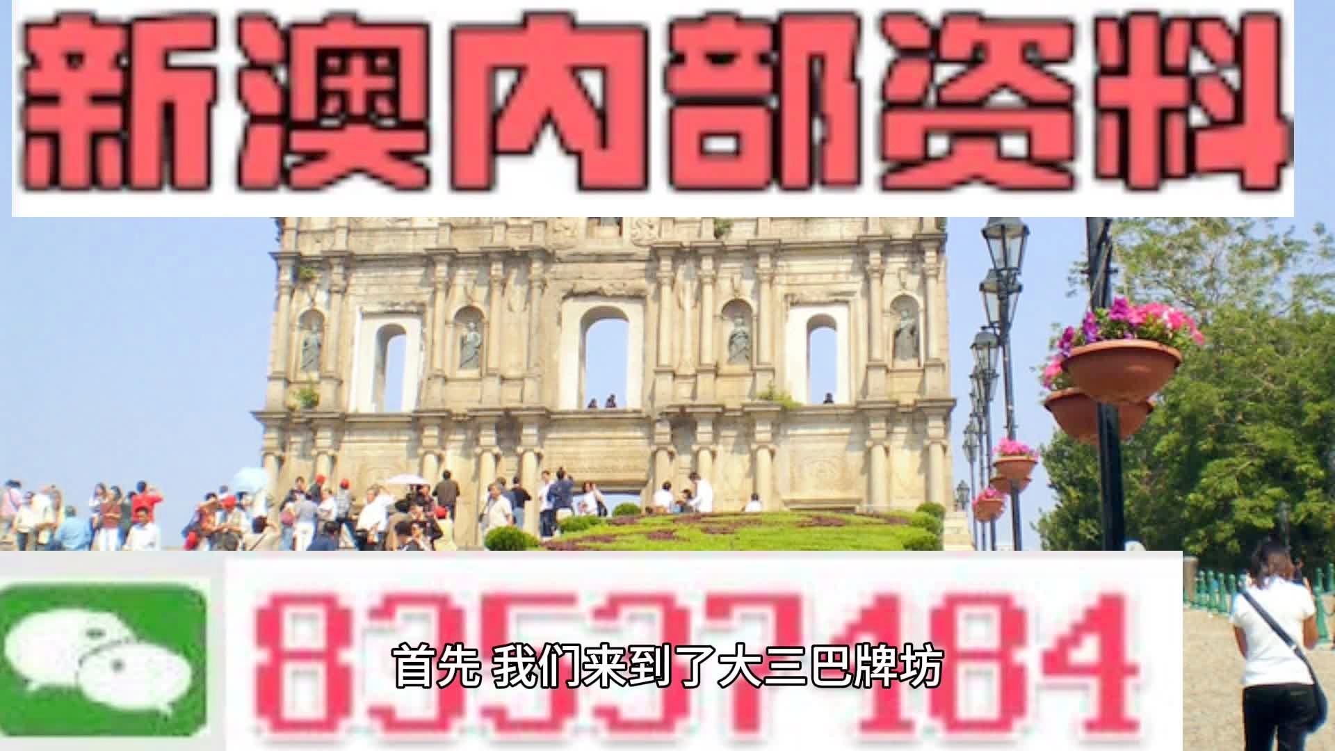 新澳2024年免费公开资料,平衡策略指导_专业版81.717