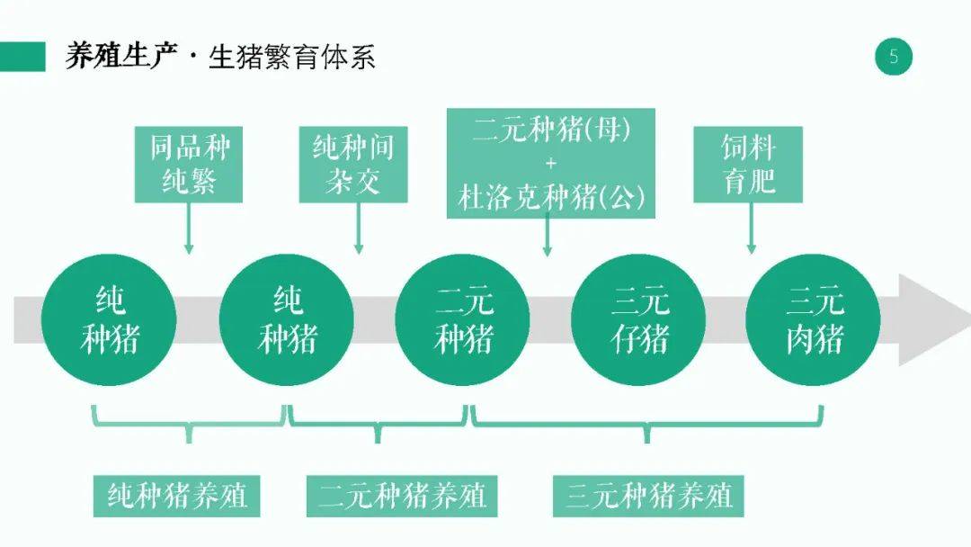 新奥2024年免费资料大全最新优势,决策信息解析说明_iShop50.150