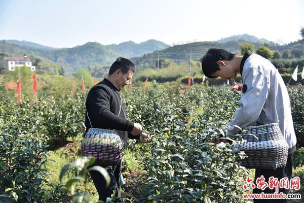 晓天镇新闻速递，最新报道汇总