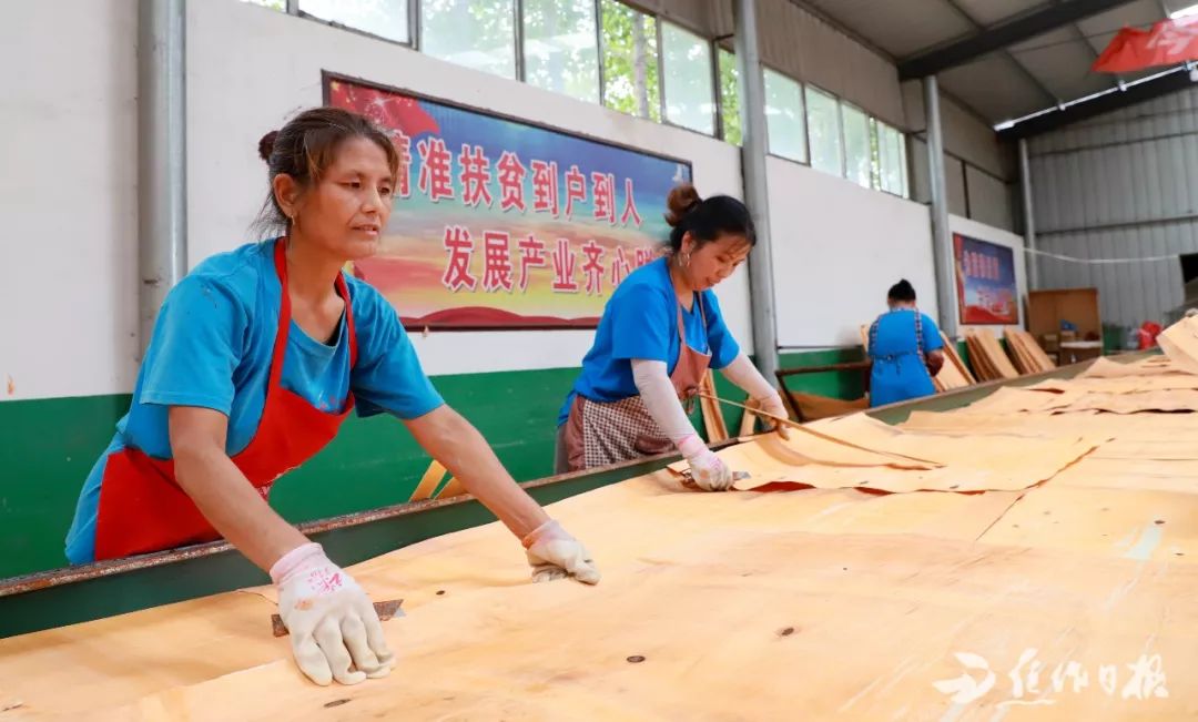 谢旗营镇领导团队引领未来，共筑辉煌新篇章