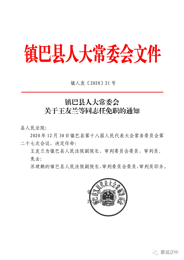 寨子村委会人事任命重塑乡村治理格局，未来展望与行动指南