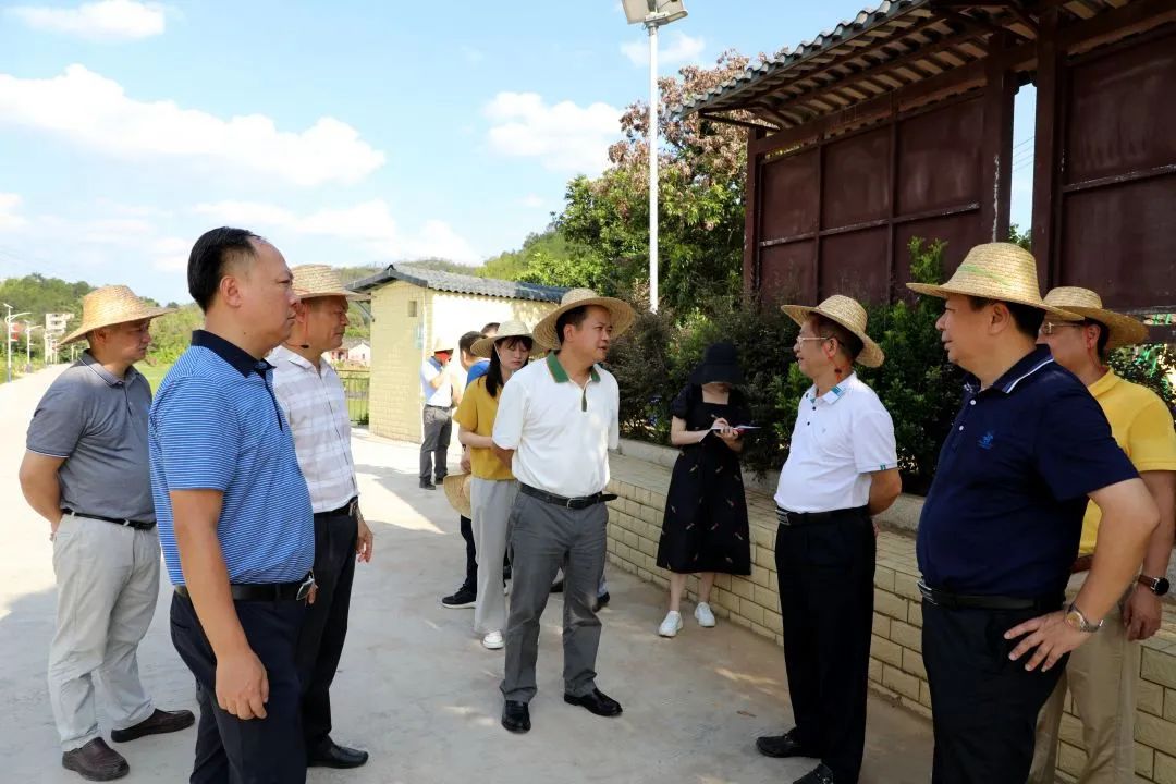 大麻镇领导团队焕新，携手共筑辉煌未来