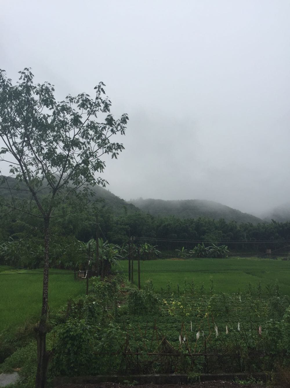 谢果村今日天气预报