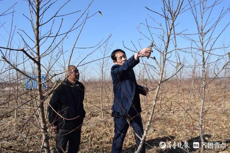 梨树县科技局规划打造科技创新高地，推动县域经济高质量发展新篇章