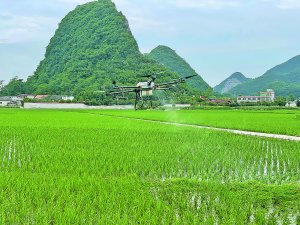 学田镇富源林场最新天气预报