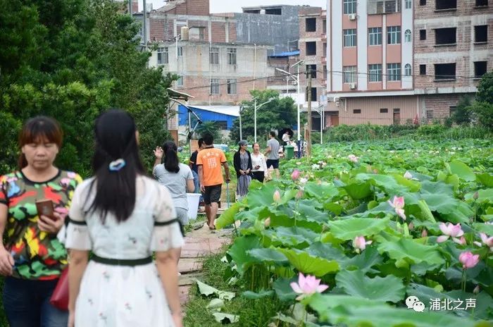 乐民镇最新项目，地方发展的强大引擎驱动力