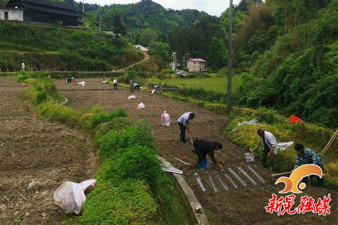 禾滩乡最新发展规划